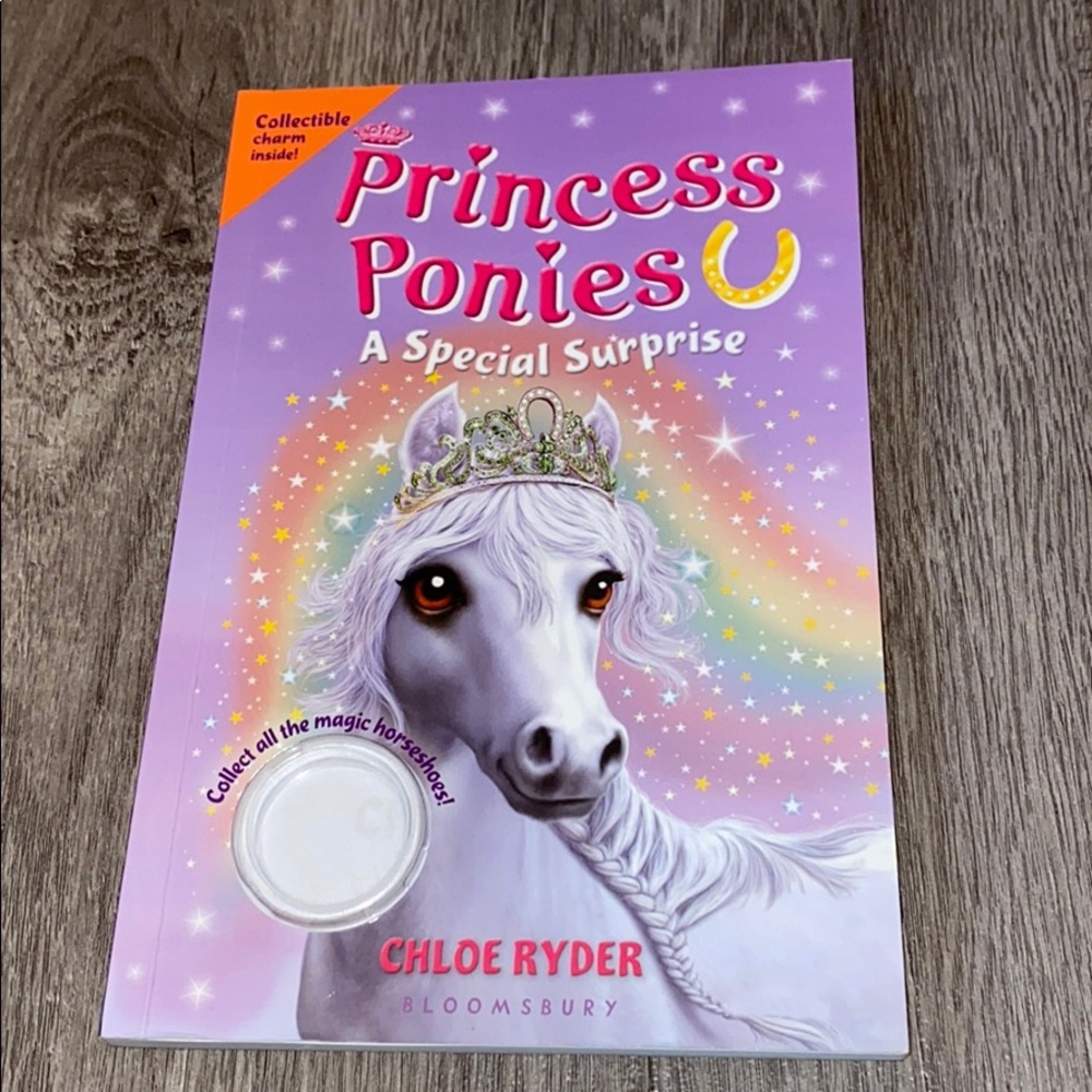 7 Chapter Books - Picture 7 of 8